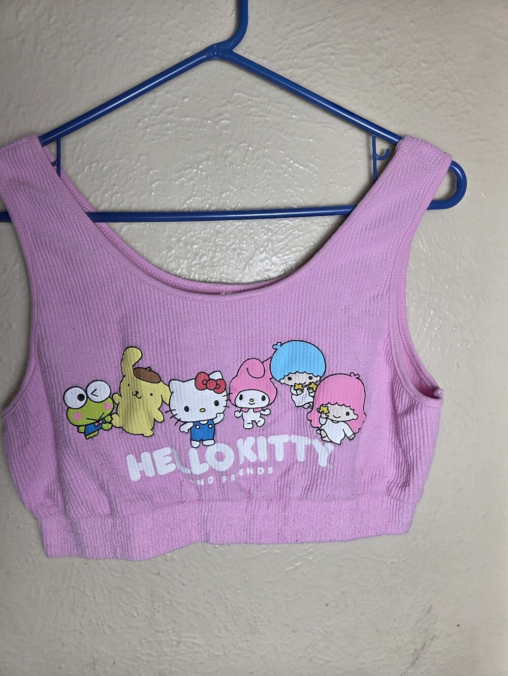 Sanrio Hello Kitty & Friends Pink Graphic Tank Top Crop Top Large Ribbed